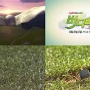 버디버디 이미지