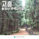 팔영산자연휴양림주차장 | 고흥 팔영산 자연휴양림 치유의숲 고흥 편백나무 산림욕장 숲체험