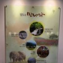 청도박물관 이미지