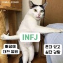 더조은투어 | 더조은월간 부록 - &#39;23년 3월호&#39; 였던 것.