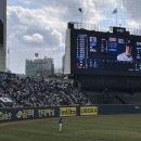 상구네김밥 | 올해 삼성이 가을야구에 갈 수 있을까? 삼팬의 25년도 수도권 직관 후기 모음