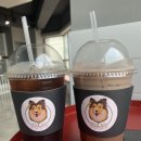 아리엘언니 이미지