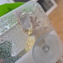더게코 | 크레스티드게코 탈피보드 후기🦎 직접 사용해보니 어땠을까?