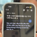 반구대대전용클럽 | 베트남 나트랑 11월 4박 6일 여행기 (우기지만 비가 한 번도 안 내린🌞)