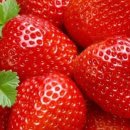 짐아서 휘트니스 이미지