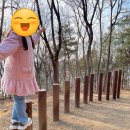 남양 유아숲체험원 이미지