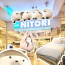웰빙 생활용품 백화점 | 일본의 이케아 생활잡화점 NITORI 니토리 현대백화점 미아점