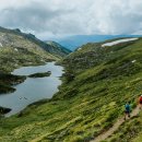 (주)알파인 이미지