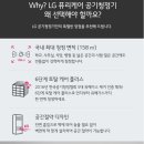 효성태권도 이미지