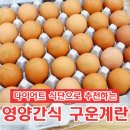 진안촌 이미지
