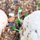 창릉초등학교 이미지