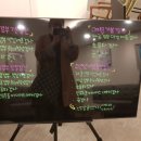 수앤영