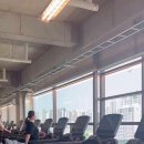 히트짐 더라이트그린 평리점 이미지