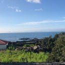 바이신산 이미지