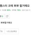 골든햄스터분양 탬펫 강남점 이미지