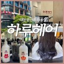 하루헤어 | 대전 둔산동 갤러리아 인근 미용실 [하루헤어] 모발클리닉 후기