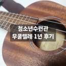 우쿨렐레 | 분당구 청소년수련관 우쿨렐레 1년 후기