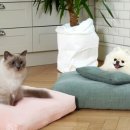 한미연 생활건강 이미지