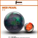 스콜피온 이미지