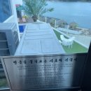 [여수카페] 백야도카페 &#39;카페시로(cafe siro)&#39;, 여수오션뷰카페 방문기