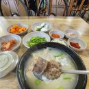 백양돼지국밥 | 부산 백양터널 근처 맛집 백양돼지국밥 순대국밥 먹어본 후기