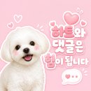 (주)제일화학 | 계류유산 소파술후기(동탄제일병원)수술준비 / 비용(hCG 변화)