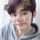모아 dog 이미지