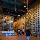 지혜의 숲 이미지