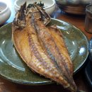 곤지곤지 이미지