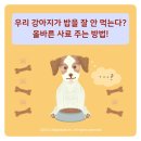 부곡동물병원 이미지