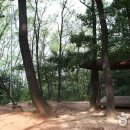 월계공원묘지 이미지