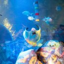 롯데월드아쿠아리움 이미지