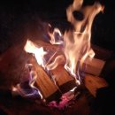 새막골 캠프 이미지