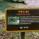 강천산휴양농원 이미지