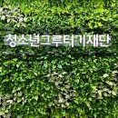법인그루터기