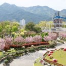 일렁이는