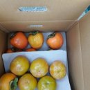 박재홍 농장 이미지