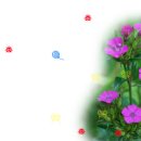 풀천지농장 이미지