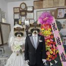 신신아 | 신신예식장 레트로 컨셉 웨딩 스냅 촬영 후기