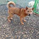 당북초등학교 이미지