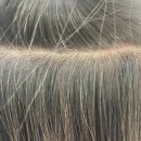 에스에스헤어(S.S) 이미지