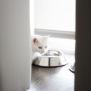 시흥24시센트럴동물의료센터 이미지