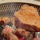 돈가우가 이미지