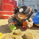 무지개동산 어린이집 이미지