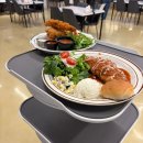 미니콩 | 친절하고 맛있고 깨끗한 경산 맛집 돈까스 뜨돈 경산점 모임장소추천