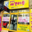 빠박이 애견미용 이미지