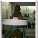 중원대학교 박물관 이미지