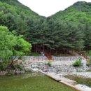 선바위자연캠핑장 이미지