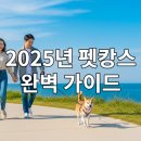 첨성대동물병원 | 사랑하는 반려견과 함께 떠나는 특별한 2025년 국내 여행, 꿈만 꾸고 계셨나요? 이제 현실이 됩니다!