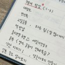 3월일상 3월은 만떼의 달 ✨